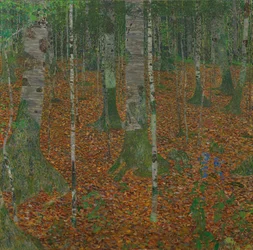 Björkskog, 1903
