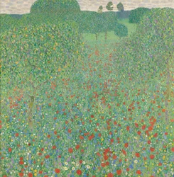 Blommande vallmo