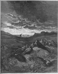 Svalan och de små fåglarna - Svalan och de små fåglarna - från 