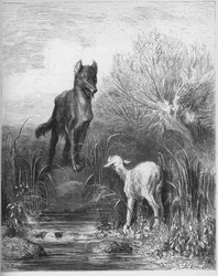 Vargen och lammet - ur Jean de La Fontaines (Lafontaine) (1621-95) „Fabler” - gravyr efter Gustave Doré (1832-83) - Privatsamling