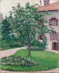 Träd i blom, 1882.