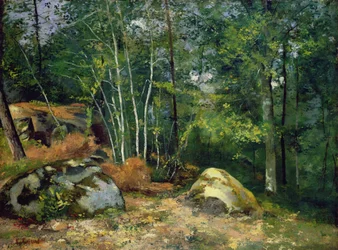 Skogens hörn