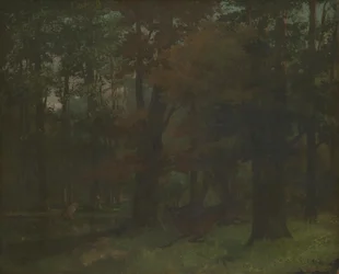 I skogen