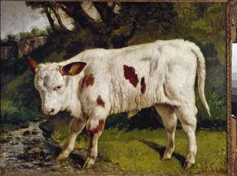 Kalven