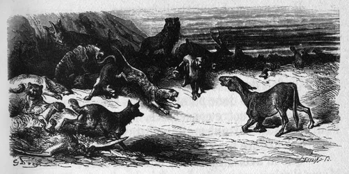 Djur som är sjuka av pesten. Fabler av Jean de La Fontaine (1621-95). Illustration av Gustave Dore.