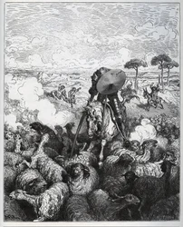 Don Quijote angriper en fårhjord i tron att han hade att göra med Alibanfaron av Taprobanas armé - ur ”Don Quijote de la Mancha” av Miguel de Cervantes (1547-1616) (Don Quijote) - träsnitt efter en teckning av Gustave Doré