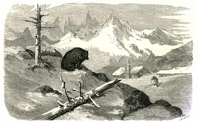 Gravyr av Gustave Dore som illustrerar boken "Voyage aux Pyrenees d
