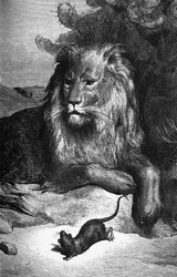 Fabeln om La Fontaine: Lejonet och råttan av Gustave Doré. sd. 1800-talet.