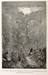 Illustration av amerikansk skog. från La legende de Croque-Mitaine.