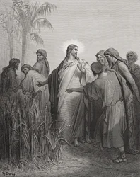 Jesus och hans lärjungar på sädesfältet, illustration ur Dorés "Den heliga bibeln", graverad av Pannemaker, 1866