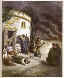 Job hör om hans ruin - Job learant sa ruine - - gravyr i "The Bible illustree" av Gustave Dore (1832-1883) - Gravyr från "" The Dore Bible""