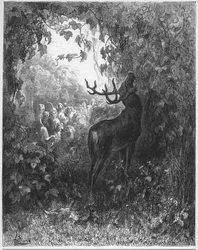 THE DEER AND THE VINE - The deer and the vine - från "Fables" av Jean de La Fontaine