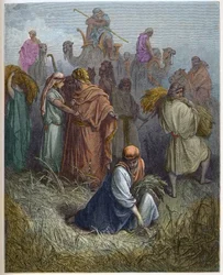 Rut och Boaz (Boaz) - Rut arbetar på Boas (Boas) fält (Rut och Boas) - - gravyr i "The Bible illustree" av Gustave Dore (1832-1883) - Gravyr från "" The Dore Bible""
