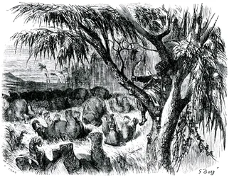 Sindbad sjöfararen (Sinbad) - berättelsen om de tusen och en (1001) nätterna - illustration av Gustave Dore - edition Maxwell 1865 - Sjunde resan: Sindbad, sittande i ett träd, drar med sin båge på elefanter