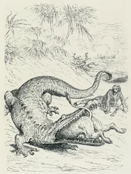 "Baron Münchhausens äventyr" (Münchhausen): Den orädde baronen av Münchhausen förföljs av ett lejon och korsar vägen för en enorm krokodil som kommer att sluka lejonet. Illustration av Gustave Doré Slutet av 19:e århundradet.