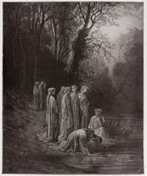 Den gudomliga komedin, Purgatorio, Sång 33: Dante dricker ur floden Eunoë - av Dante Alighieri (1265-1321) - illustration av Gustave Doré (1832-1883)