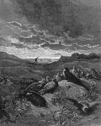 Svalan och fåglarna, illustration från 