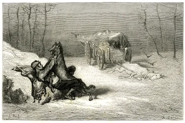 Brigadören Agostin attackeras av en varg, nära den döda hästen som fortfarande nås i vagnen överger komikerna eller gömmer den lilla Chiquita. Gravyr av Gustave Dore som illustrerar Theophile Gautiers roman "Le capitaine Fracasse", edition Charpentier 1863