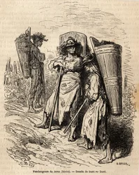 Plockarna av Xeres. Teckning av Gustave Dore (1832-1883), för att illustrera hans resa till Spanien 1862, med Ch. Davillier. Gravyr i "" Le tour du monde", redigerad av Edouard Charton