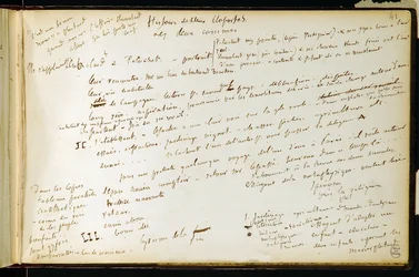 Folio 41 i arbetsboken n. 19 Manuskriptsida av Gustave Flauberts utkast. Planer för Bouvard och Pecuchet. BHVP.