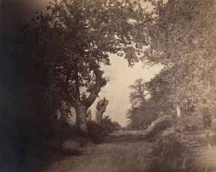 Fontainebleau, sandstig uppför, ca. 1856.