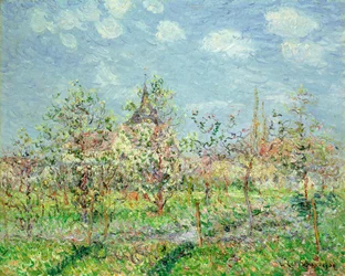 Blommande fruktträdgård, l902