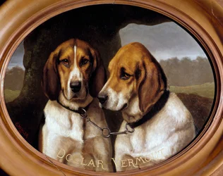 Hundar Dollar och Vermout Porträtt av jakthundar. Målning av Gustave Mohler (1836-1920) 1866 Gien, Jaktmuseet.