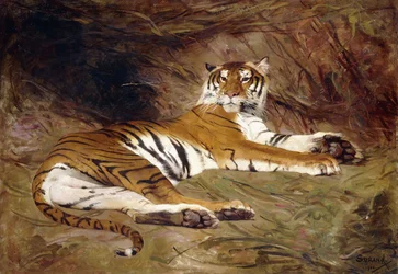 En liggande tiger