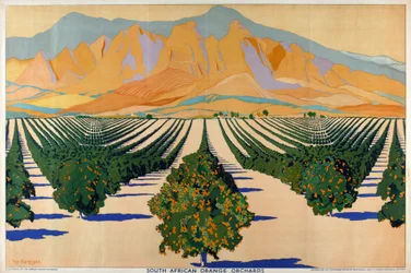 South African Orange Orchards, från serien 