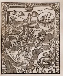 Herdekalender - Månadernas arbete - Juli - Träsnitt från boken från 1496 tryckt av Guy Marchant (Guido Mercator) i Troyes - Hay, la coupe des hay - Gravyr sur bois i "" Le grand Calendrier et compost des shepherds"" -