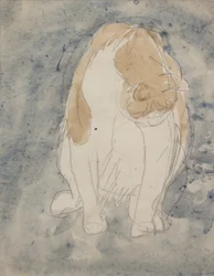 Studie av en katt, ca 1910-20 (akvarell och grafitpenna på papper)
