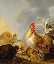 En grupp gårdshöns, 1643