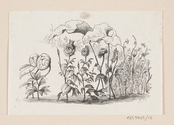 Illustration till "Den lille Idas Blomster" i H.C. Andersen, "Sagor och berättelser", volym 1