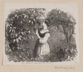 Illustration till "A Leaf from Heaven" i H.C. Andersen, "Sagor och berättelser", volym 2