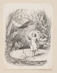 Illustration till "Tommelise" i H.C. Andersen, "Sagor och berättelser", volym 1
