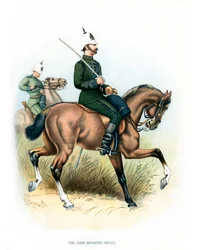 Cape Mounted Rifles, c1890.