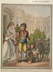 "Allt en växande, en växande, här är Flowers for you Gardens", skylt VI av Cries of London, 1799