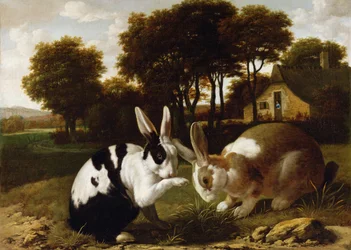 Två kaniner i ett landskap, ca 1650