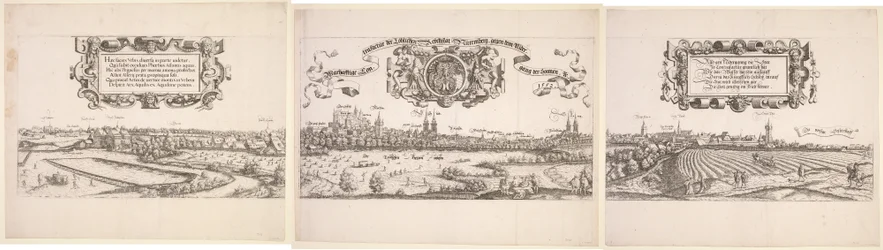 Panoramautsikt över Nürnberg