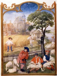 Fältarbete, klippning av får och bönder klipper vete. Miniatyr tilldelad till Memling. Tallrik tagen från Breviaire Grimani från 1400-talet. Biblioteca Marciana, venise.
