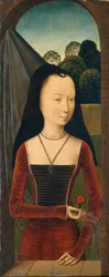 Ung kvinna med en rosa, ca 1485-90 (olja på trä)
