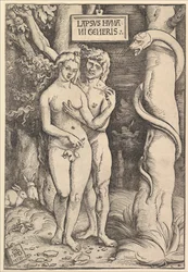 Adam och Eva, 1511.