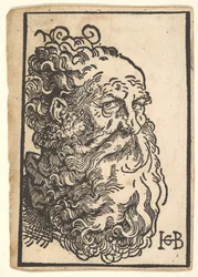 Chef för en skäggig man, ca. 1518-19.