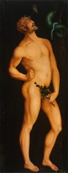 Adam - Peinture de Hans Baldung (1484-1545) - 1525-1526 - Olja på trä - 208,5x83,5 - Szepmuveszeti Muzeum, Budapest