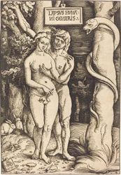 Adam och Eva, 1511