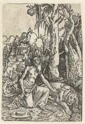 Saint Hieronymus som en ångerfull i öknen