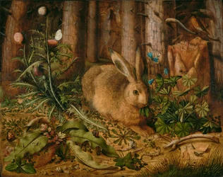 En hare i skogen
