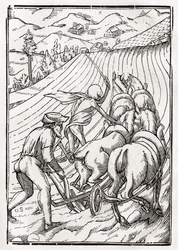 Döden kommer för bonden eller husbonden, graverad av Georg Scharffenberg, ur "Der Todten Tanz", utgiven i Basel 1843.
