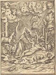 Skapelsen