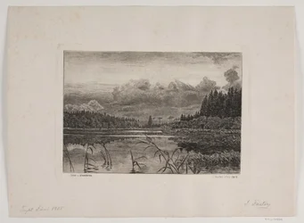 Sjön i granskogen